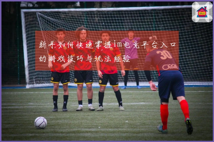 新手如何快速掌握im电竞平台入口的游戏技巧与玩法经验