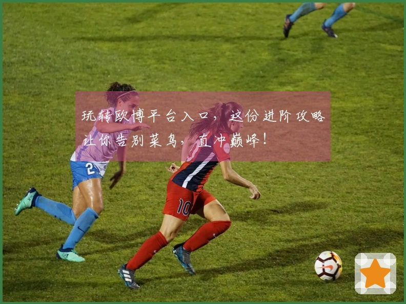 玩转欧博平台入口，这份进阶攻略让你告别菜鸟，直冲巅峰！